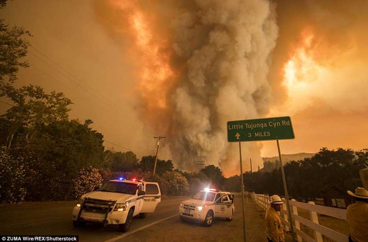 Loat anh ve chay rung du doi o Los Angeles-Hinh-6